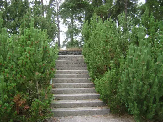 Photo 5: Interior · Sweden