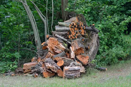 Photo 2: Exterior · Holzstoß hinter der Wotrubakirche in Wien-Mauer