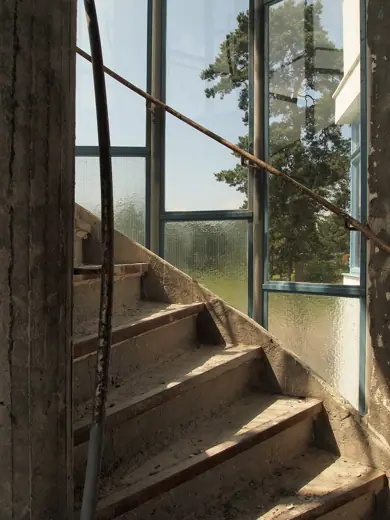Photo 5: Interior